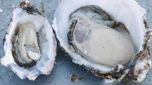 Oysters Pacific Opened