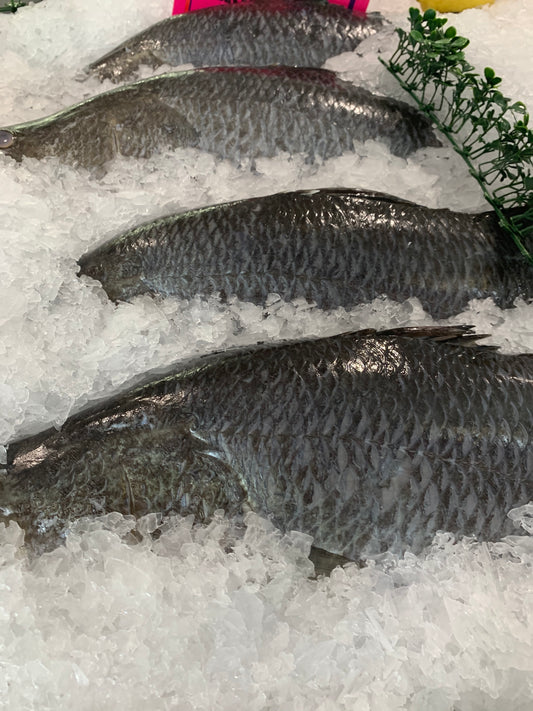 Barramundi Whole