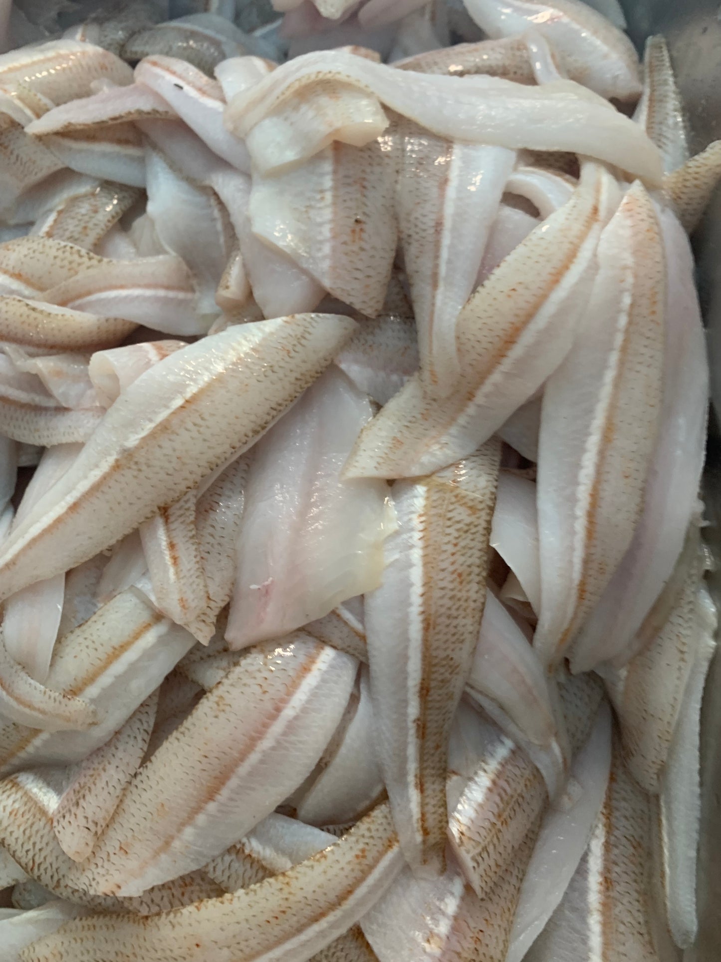 Whiting Fillets (trawl)