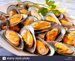 N.Z. Mussels Half Shell