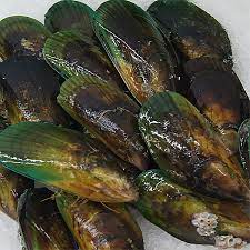 N.Z. Mussels Greenlip Whole