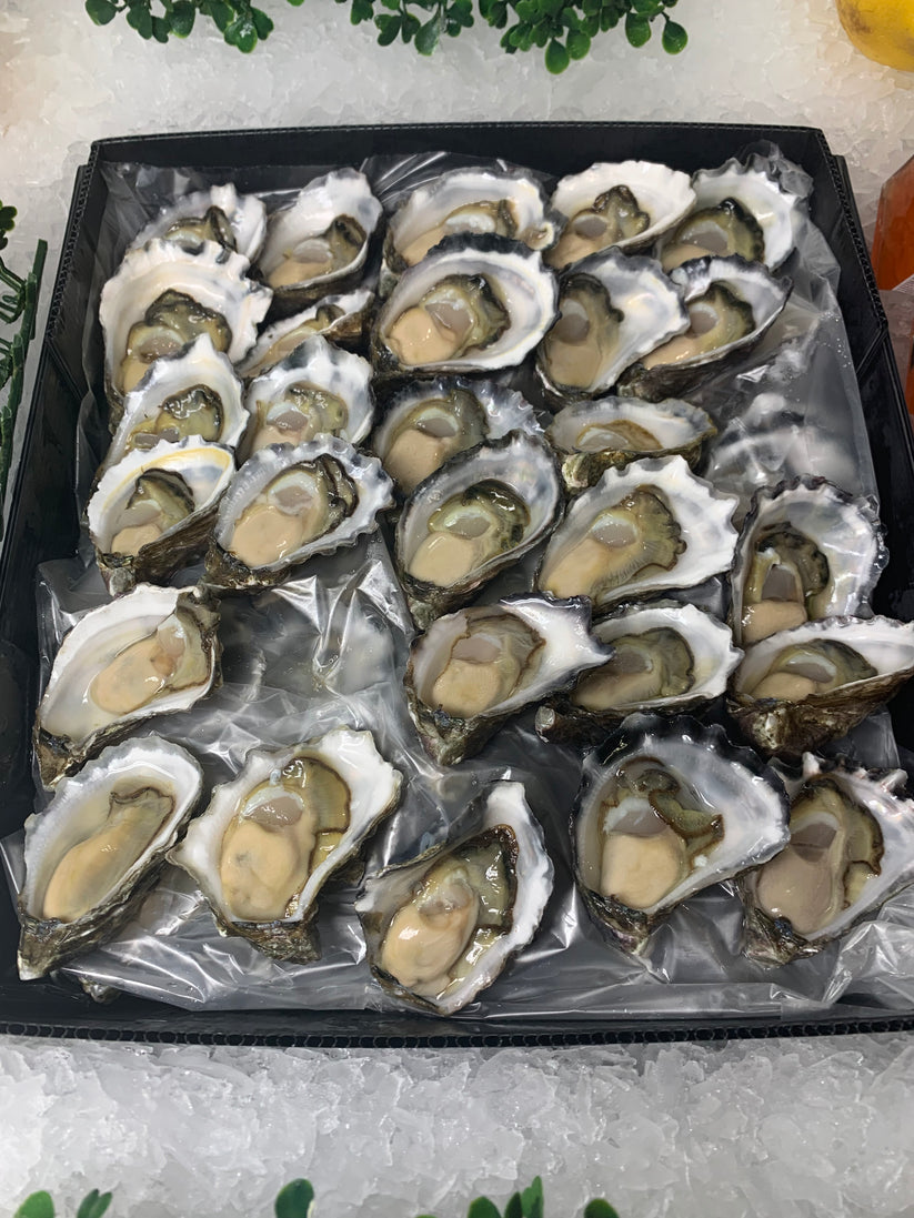 Oysters Sydney Rock – Clarence Valley Seafoods